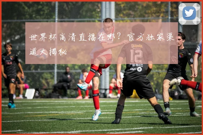 世界杯高清直播在哪？官方独家渠道大揭秘