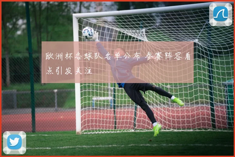 欧洲杯各球队名单公布 参赛阵容看点引发关注