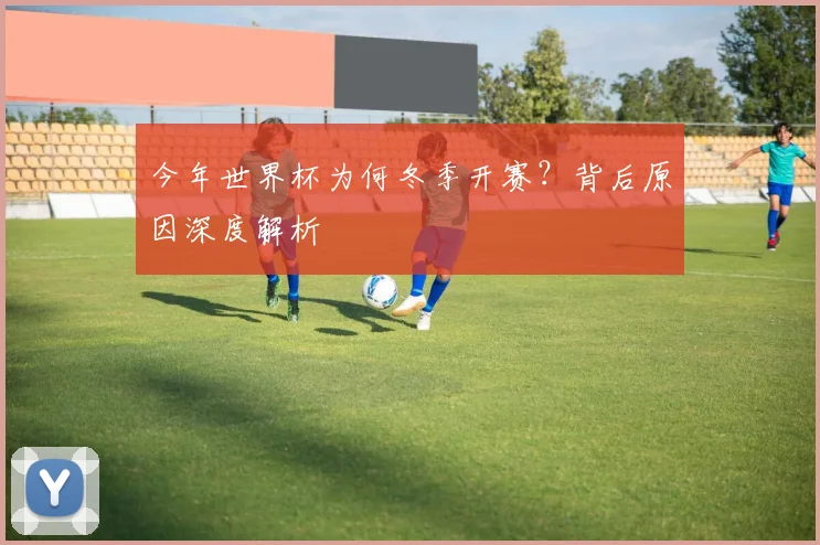 今年世界杯为何冬季开赛?背后原因深度解析