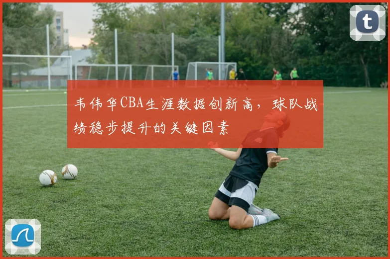 韦伟华CBA生涯数据创新高，球队战绩稳步提升的关键因素