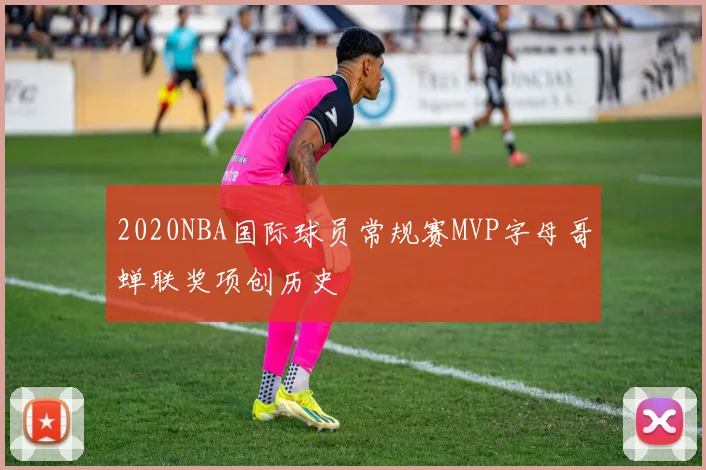 2020NBA国际球员常规赛MVP字母哥蝉联奖项创历史