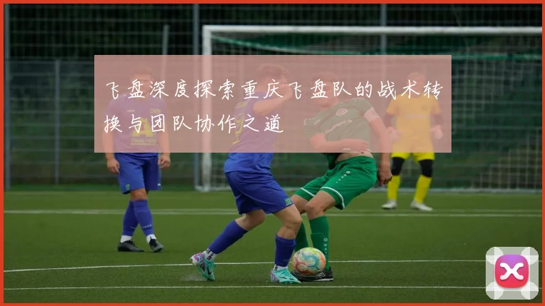 飞盘深度探索重庆飞盘队的战术转换与团队协作之道