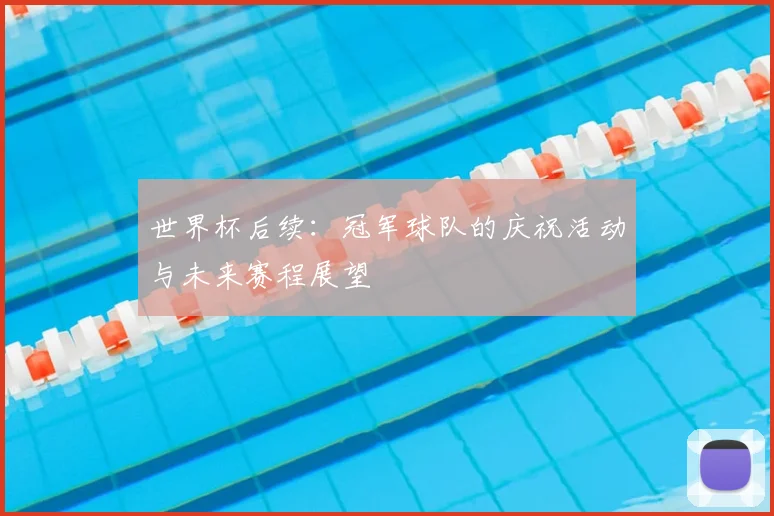 世界杯后续:冠军球队的庆祝活动与未来赛程展望