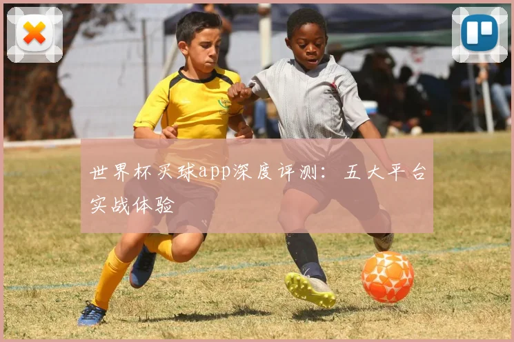 世界杯买球app深度评测：五大平台实战体验