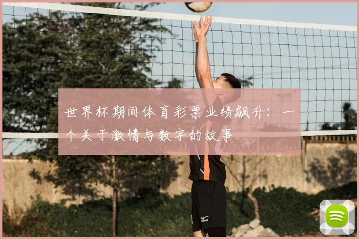 世界杯期间体育彩票业绩飙升：一个关于激情与数字的故事