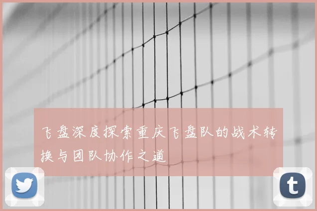 飞盘深度探索重庆飞盘队的战术转换与团队协作之道