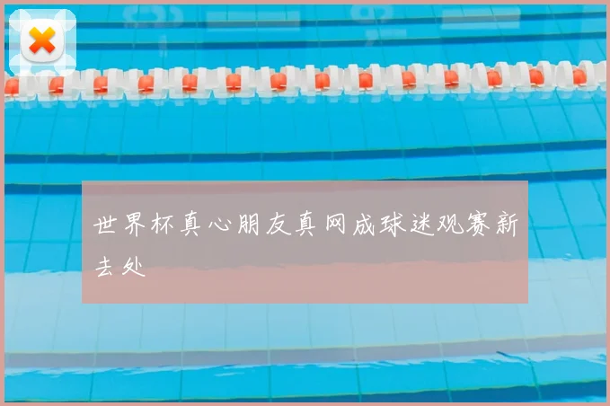 世界杯真心朋友真网成球迷观赛新去处