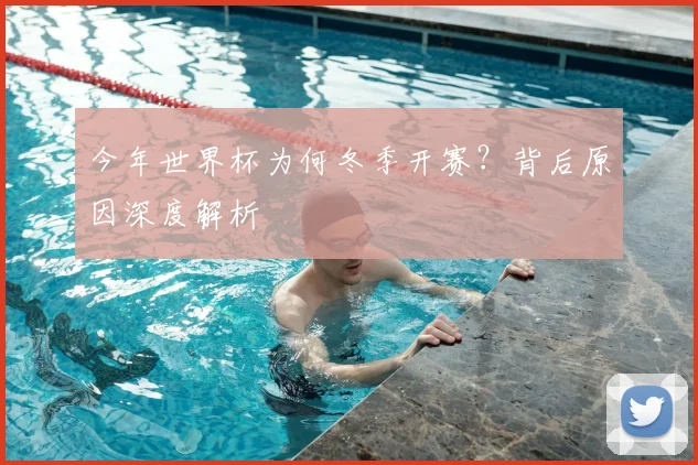 今年世界杯为何冬季开赛?背后原因深度解析