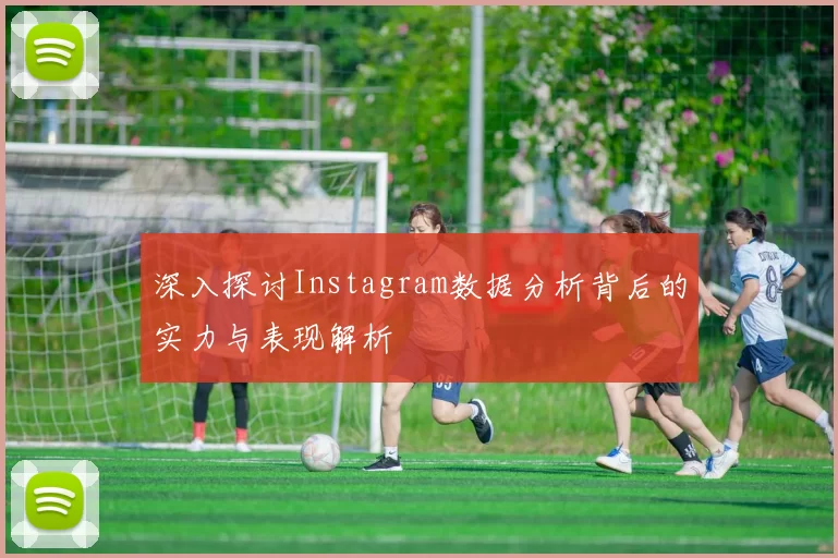 深入探讨Instagram数据分析背后的实力与表现解析