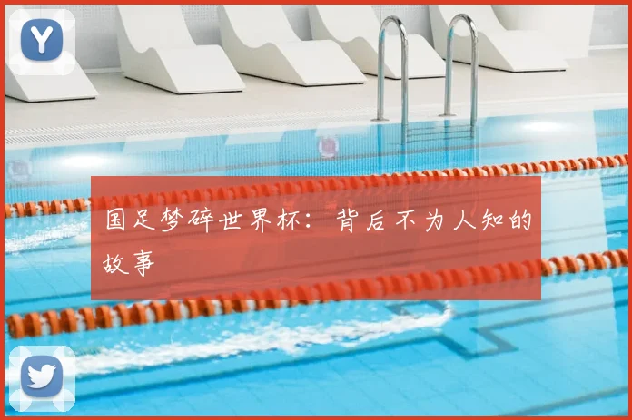 国足梦碎世界杯：背后不为人知的故事