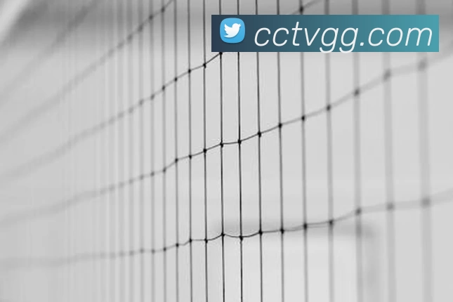 华体会体育品牌故事