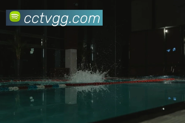 多媒体互动体验